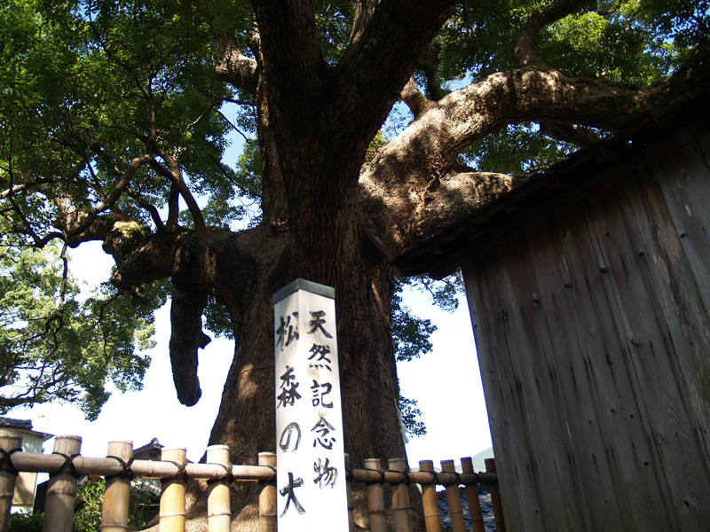 学問の神様　松森天満宮