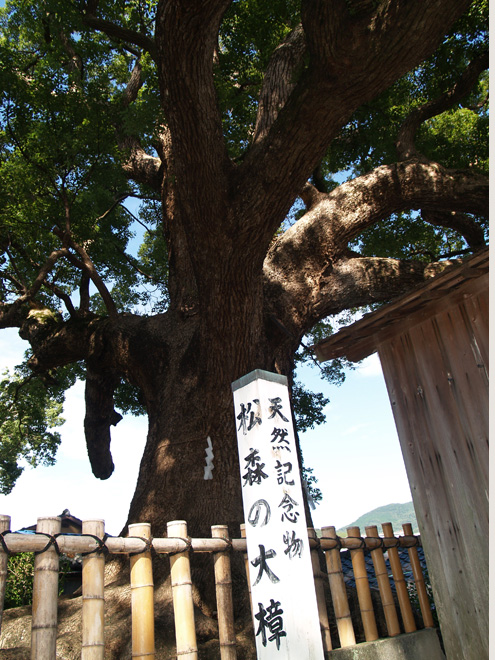 学問の神様　松森天満宮