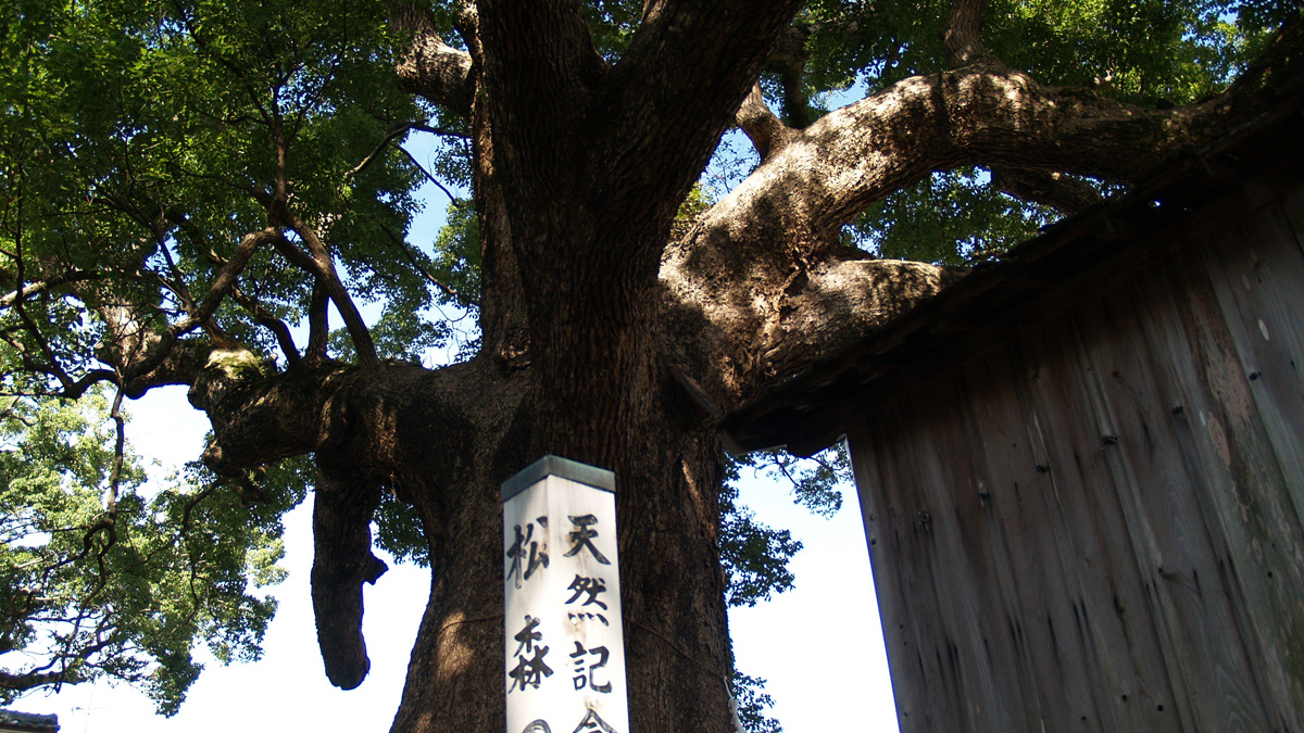 学問の神様　松森天満宮